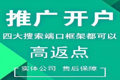 SEM代运营机构成功案例：精准定位客户群体